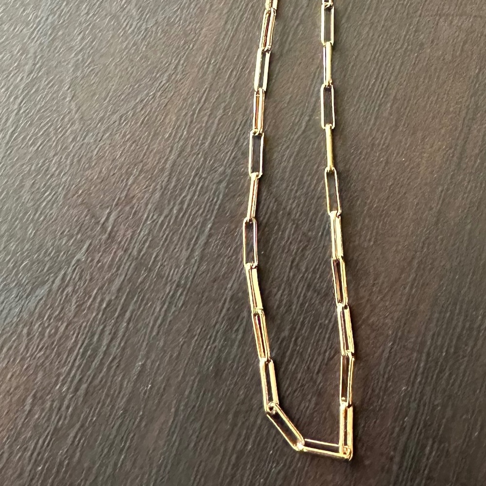 Express Fake Gold Chain-Link Necklace (Like New)